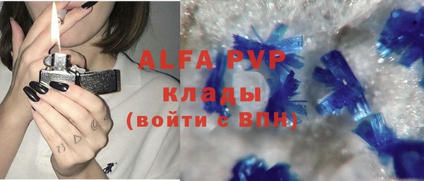 прущие грибы Богородицк