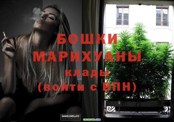 прущие грибы Богородицк