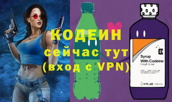 прущие грибы Богородицк