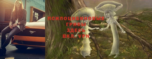 а пвп мука Богданович